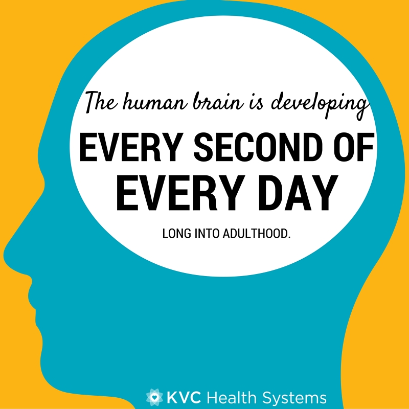 The Brain Can Change… And That Changes Everything - KVC Health Systems